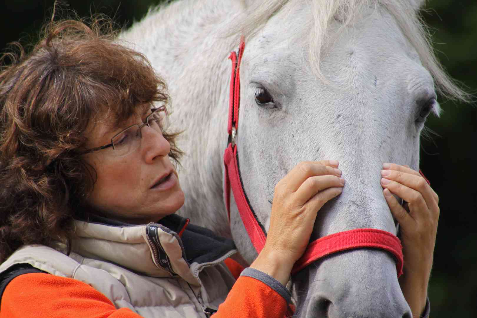 craniosacrale Therapie, Korrektur os nasale