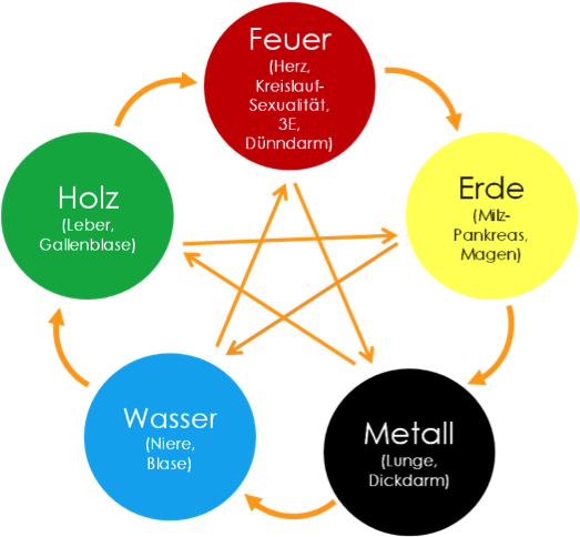 Elementeschema mit Kontroll- und Ernährungszyklus